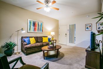 Tucson 1 Bedroom Apartments with Spacious Living Room